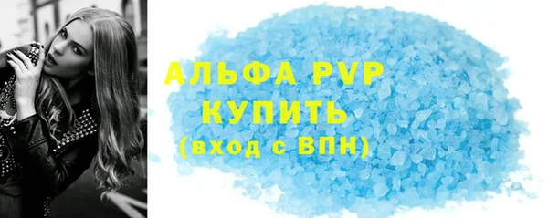 ECSTASY Бородино