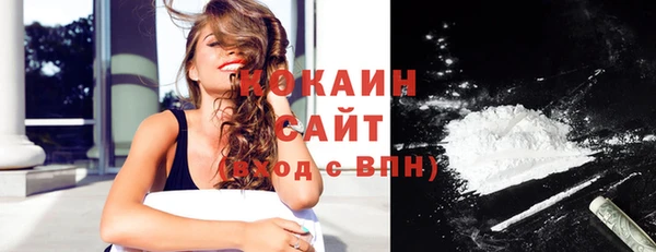 ECSTASY Бородино