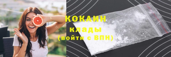 ECSTASY Бородино