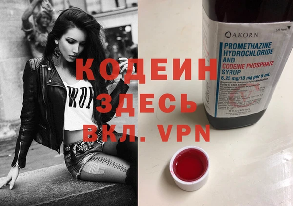 ECSTASY Бородино