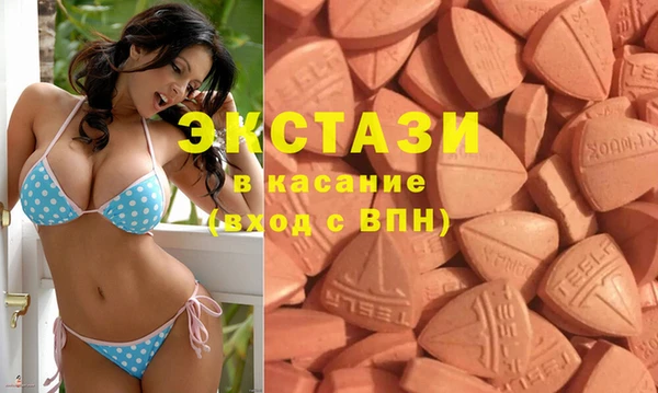 ECSTASY Бородино