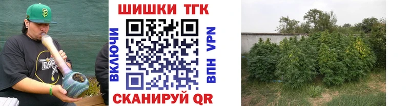 наркотики сайты даркнета наркотические препараты Бошки Шишки THC 21% Мончегорск